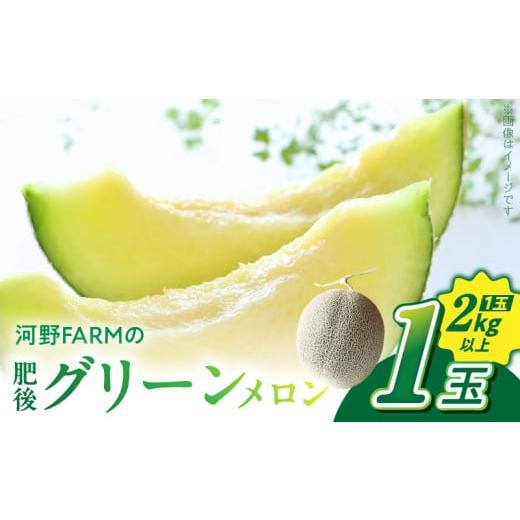 ふるさと納税 メロン 熊本県 宇土市 143-2 先行予約 河野FARM 肥後グリーンメロン1玉