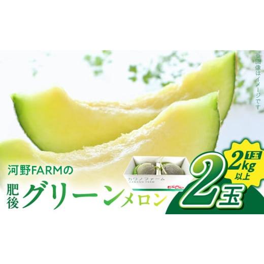 ふるさと納税 メロン 熊本県 宇土市 143-3 先行予約 河野FARM 肥後グリーンメロン2玉