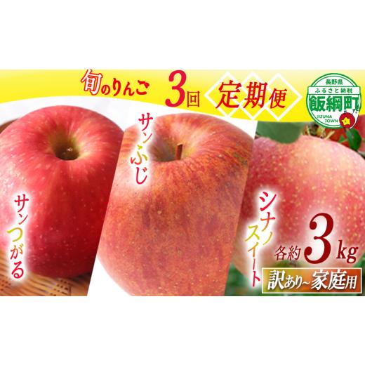 ふるさと納税 りんご 長野県 飯綱町 旬のりんご 定期便 訳あり ~ 家庭用 3kg × 3回 マルハ農園 沖縄県への配送不可 2026年9月上旬から2026年12月中旬まで順次…