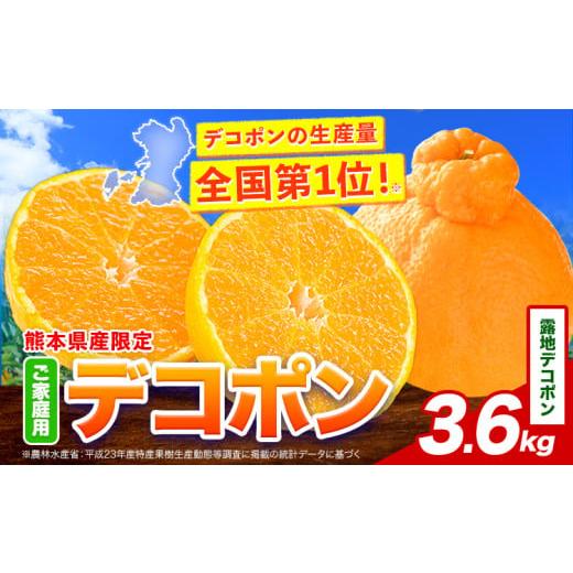 ふるさと納税 みかん・柑橘類 デコポン 熊本県 津奈木町 露地デコポン 約3.6kg(9-18玉前後)[2026年2月中旬-3月末頃出荷] 柑橘 不知火 デコポン みかん フル…
