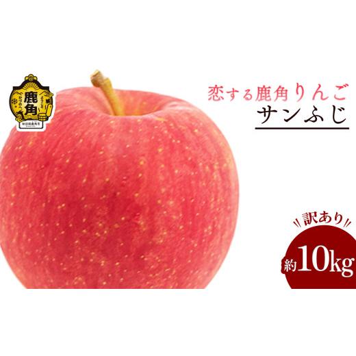 ふるさと納税 りんご 秋田県 鹿角市 [ 先行予約 ] 鹿角 りんご 訳あり「サンふじ」約 10kg 恋する鹿角カンパニー ●2026年12月上旬発送開始 家庭用 かづのり…