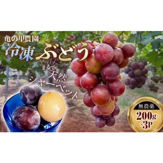 ふるさと納税 果物類 ぶどう 山口県 山陽小野田市 「冷凍ぶどう」200g×3パック(600g) フルーツ ぶどう 葡萄 ブドウ 山口県 山陽小野田市 ふるさと納税 F6L-…