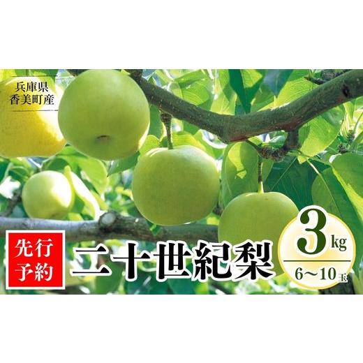 ふるさと納税 梨 兵庫県 香美町 [2026年産 先行予約] 梨 二十世紀梨 香住梨 3kg 秀品(Aランク)L〜5Lサイズ混合6〜10玉 令和8年8月下旬以降発送予定 梨 20…