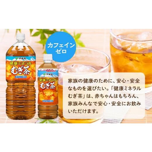 ふるさと納税 お茶類 和歌山県 海南市 定期便 毎月 全3回 健康ミネラル麦茶 650ml×24本 １ケース 3ヶ月定期便_2