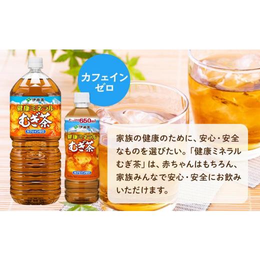 ふるさと納税 お茶類 和歌山県 海南市 定期便 毎月 全6回 健康ミネラル麦茶 2L×6本 １ケース 6ヶ月定期便の画像