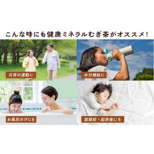 ふるさと納税 お茶類 和歌山県 海南市 定期便 毎月 全6回 健康ミネラル麦茶 2L×6本 １ケース 6ヶ月定期便の画像