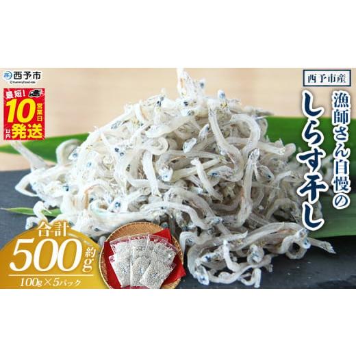 ふるさと納税 しらす・ちりめん 愛媛県 西予市 漁師さん自慢のしらす干し 合計500g(1パック100g入り) シラス 魚介類 さかな 海産物 海鮮 海の幸 小分け 国…