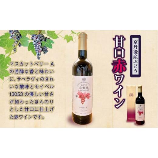 ふるさと納税 ワイン 赤ワイン 京都府 京丹後市 天橋立ワイン 日本ワインコンクール受賞のワイナリーからお届け/京丹後産ぶどうを醸造した甘口の赤ワイン 72…