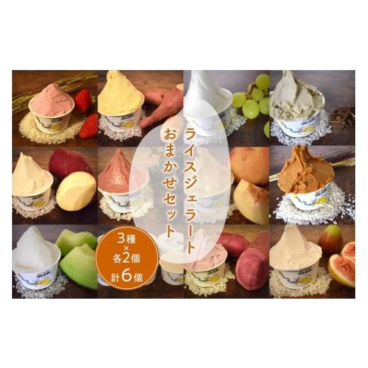 ふるさと納税 アイス・ヨーグルト ジェラート 京都府 京丹後市 京丹後のフルーツを使用したライスジェラートおまかせセット 3種×2個(季節のフルーツはおまか…