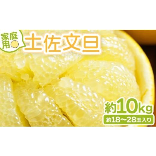 ふるさと納税 みかん・柑橘類 高知県 香南市 2月から順次配送 土佐文旦 家庭用 10kg 高知 大小混合(L〜3L) 約18〜28玉入り - 訳あり 傷 果物 文旦 ぶんたん …