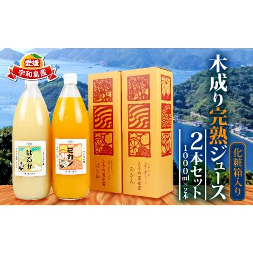 ふるさと納税 果汁飲料 みかん 愛媛県 宇和島市 ＼10営業日以内発送/ 完熟 みかんジュース 化粧箱入り 木成り 2本セット 1000ml×2本 こうの果樹園 みかん ジ…