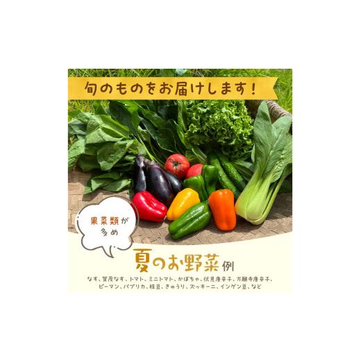 ふるさと納税 セット・詰合せ 京都府 京丹後市 有機野菜・京野菜の『京都やおよし』のお野菜＆平飼玉子10個の詰め合わせ｜野菜 やさい 有機 オーガニック 農薬…_3