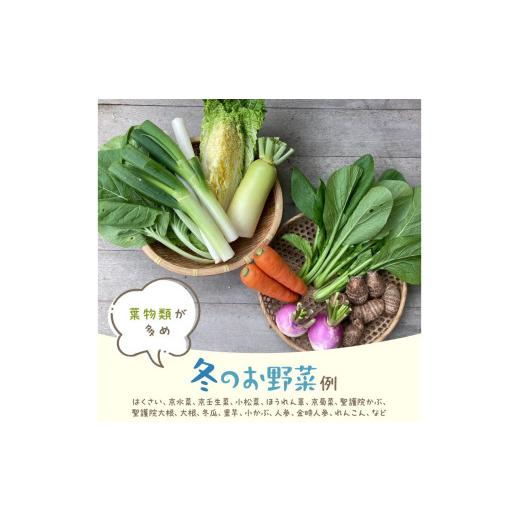 ふるさと納税 セット・詰合せ 京都府 京丹後市 有機野菜・京野菜の『京都やおよし』のお野菜＆平飼玉子10個の詰め合わせ｜野菜 やさい 有機 オーガニック 農薬…_4