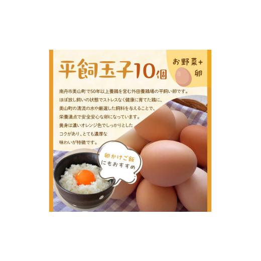 ふるさと納税 セット・詰合せ 京都府 京丹後市 有機野菜・京野菜の『京都やおよし』のお野菜＆平飼玉子10個の詰め合わせ｜野菜 やさい 有機 オーガニック 農薬…_6