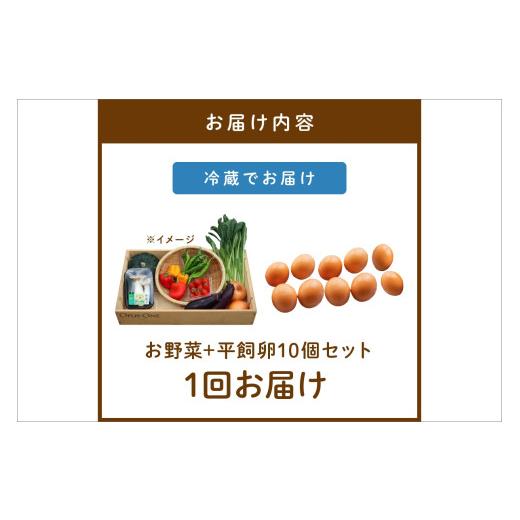 ふるさと納税 セット・詰合せ 京都府 京丹後市 有機野菜・京野菜の『京都やおよし』のお野菜＆平飼玉子10個の詰め合わせ｜野菜 やさい 有機 オーガニック 農薬…_8