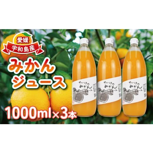ふるさと納税 果汁飲料 みかん 愛媛県 宇和島市 みかんジュース 1,000ml×3本 清家 100%ジュース ストレートジュース ストレート 柑橘 みかん 温州みかん ジ…