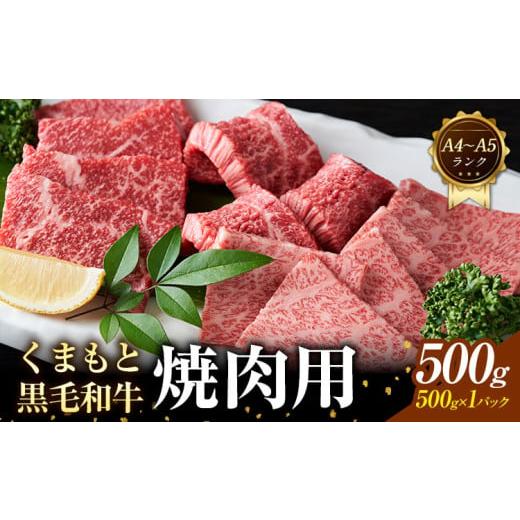 ふるさと納税 牛肉 焼肉・バーベキュー 熊本県 大津町 A4〜A5 くまもと 黒毛和牛 焼肉用 500g [30日以内に出荷予定(土日祝除く)]熊本県 大津町 黒毛和牛 肉…