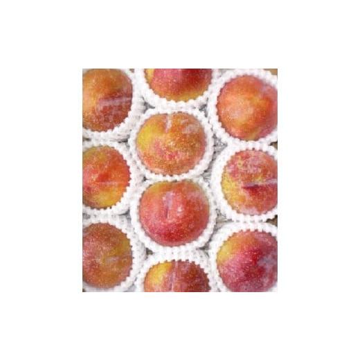 ふるさと納税 もも 山形県 天童市 08-08-038 すもも(秋姫)2kg