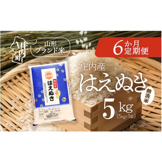 ふるさと納税 無洗米 山形県 庄内町 6か月定期便 庄内米 はえぬき 無洗米 5kg 毎月 5kg×1袋 令和7年産 / 令和8年産 余目産 あまるめ ブランド米 米 山形 庄…