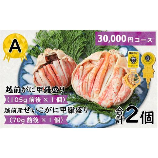 ふるさと納税 カニ ずわいガニ 福井県 福井市 A 越前がに甲羅盛(105g前後 × 1個)+ 越前産せいこがに甲羅盛(70g前後 × 1個)合計2個 C-096005_01 A越…