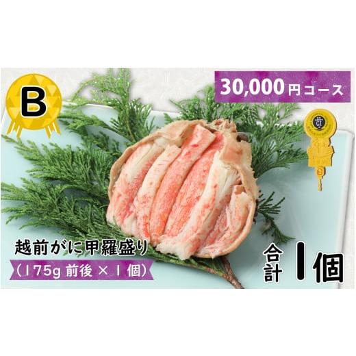 ふるさと納税 カニ ずわいガニ 福井県 福井市 B 越前がに甲羅盛(175g前後 × 1個)合計1個 C-096005_02 B 越前がに甲羅盛(175g前後 × 1個)合計1個