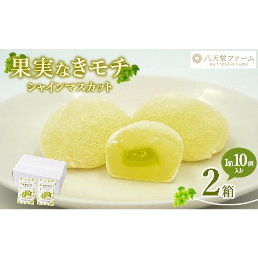 ふるさと納税 和菓子 広島県 竹原市 八天堂ファーム 果実なきモチ シャインマスカットお試しセット 10個入り×2箱