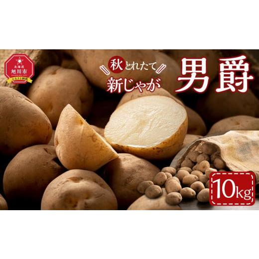 ふるさと納税 野菜類 じゃがいも 北海道 旭川市 先行予約 秋とれたて 新じゃが 男爵いも 10kg(2026年10月発送開始予定) じゃがいも いも イモ 芋 野菜 産地…