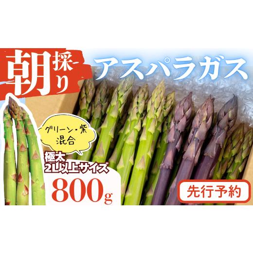ふるさと納税 野菜類 アスパラガス 岩手県 西和賀町 先行予約5/31迄 限定30 やまに農産「朝採りアスパラガス」800g(2L以上サイズ)