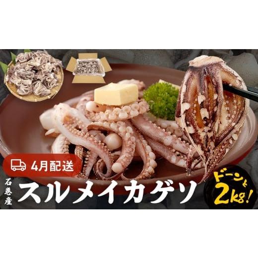 ふるさと納税 イカ 宮城県 石巻市 いか [ 訳あり ]4月配送 宮城県産 スルメイカ ゲソ 2kg 冷凍 国産 いか 下足 イカ イカゲソ カルパッチョ おつまみ 魚介類…