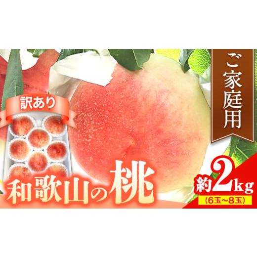 ふるさと納税 もも 和歌山県 紀の川市  訳あり ご家庭用 和歌山の桃 約2kg (6玉-8玉) m＆n果実園 配送不可地域あり 《2026年6月中旬-7月下旬頃出荷》和歌山県 …の画像