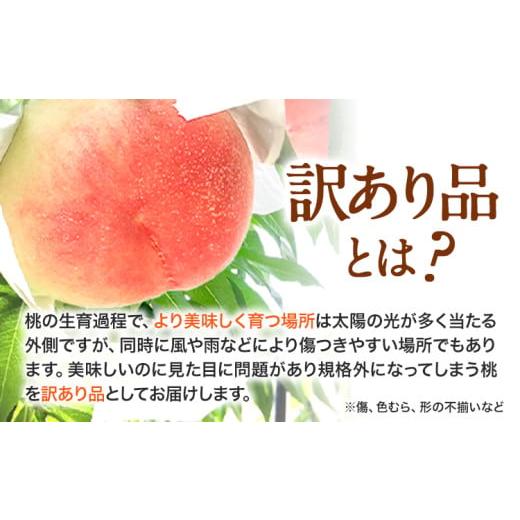 ふるさと納税 もも 和歌山県 紀の川市  訳あり ご家庭用 和歌山の桃 約2kg (6玉-8玉) m＆n果実園 配送不可地域あり 《2026年6月中旬-7月下旬頃出荷》和歌山県 …の画像