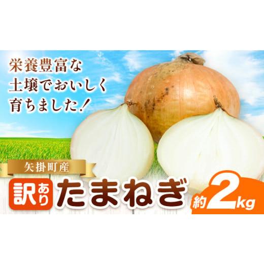 ふるさと納税 野菜類 玉ねぎ 岡山県 矢掛町 玉ねぎ 矢掛町産 訳あり 玉ねぎ 約2kg[5月末〜7月中旬頃に出荷予定] 約 2kg 野菜 岡山県 矢掛町 五千円以下 たま…
