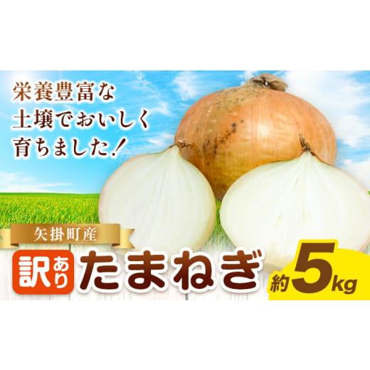 ふるさと納税 野菜類 玉ねぎ 岡山県 矢掛町 玉ねぎ 矢掛町産 訳あり 玉ねぎ 約5kg [5月末〜7月中旬頃に出荷予定] 約 5kg 野菜 岡山県 矢掛町 たまねぎ 大き…