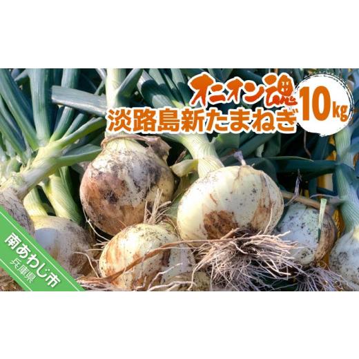 ふるさと納税 野菜類 玉ねぎ 兵庫県 南あわじ市  オニオン魂 淡路島新たまねぎ 10kg  配送３月上旬〜の画像