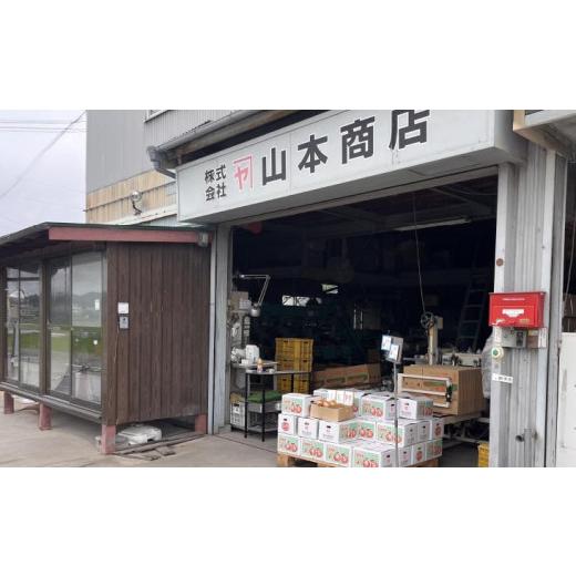 ふるさと納税 野菜類 玉ねぎ 兵庫県 南あわじ市  オニオン魂 淡路島新たまねぎ 10kg  配送３月上旬〜の画像