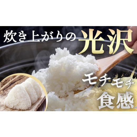 ふるさと納税 米 ヒノヒカリ 宮崎県 都城市 都城産ひのひかり15kg(5kg×3袋)_AF-1506_(都城市) 令和7年産 都城産 お米 5kg×3袋 15kg ひのひかり_3