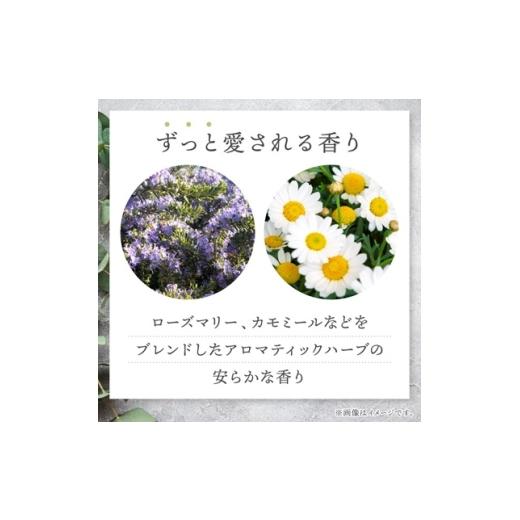 ふるさと納税 美容 入浴剤 大阪府 茨木市 AYURA(アユーラ) メディテーションバスt 12本_入浴剤 AYURA アユーラ メディテーションバスt 乳白色 バス用品 入浴 …
