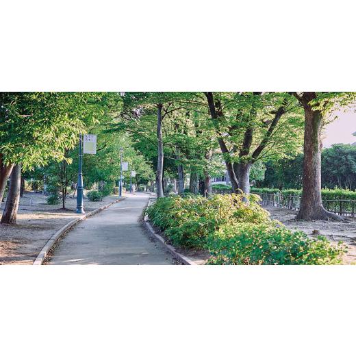 ふるさと納税 美容 入浴剤 大阪府 茨木市 AYURA(アユーラ) メディテーションバスt\u0026ナイトリートバス 各3本 1591986の画像