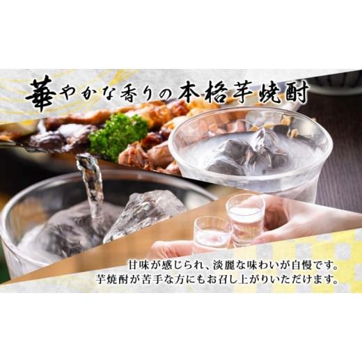 ふるさと納税 焼酎 いも 岐阜県 美濃市  No.5308-0497 本格 芋焼酎 えっきょう 25度 720ml 瓶 12本 Ekkyo 焼酎 乙類 お酒 アルコール 飲料 さつまいも 紅はる…の画像