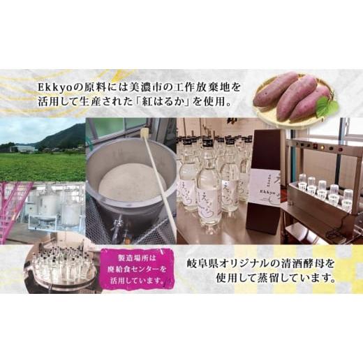 ふるさと納税 焼酎 いも 岐阜県 美濃市  No.5308-0497 本格 芋焼酎 えっきょう 25度 720ml 瓶 12本 Ekkyo 焼酎 乙類 お酒 アルコール 飲料 さつまいも 紅はる…の画像