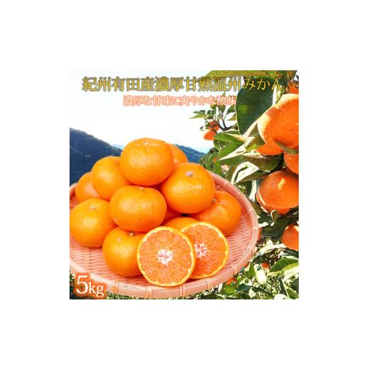 ふるさと納税 果物類 みかん 和歌山県 かつらぎ町 先行予約 紀州有田産 濃厚完熟 温州みかん 約5kg / みかん ミカン 蜜柑 温州みかん 柑橘 フルーツ 果物 く…