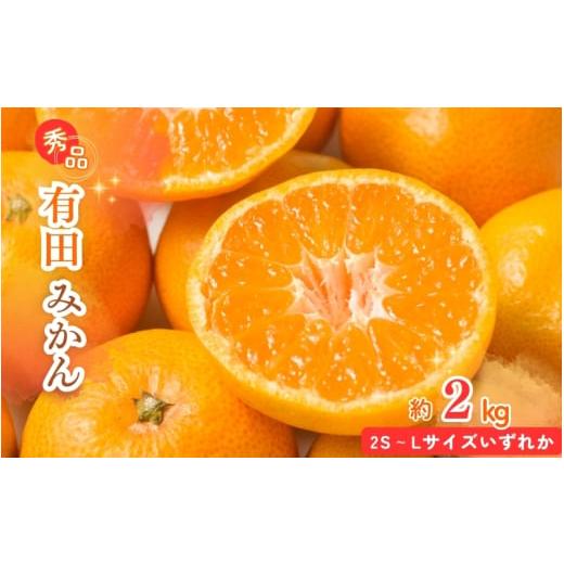 ふるさと納税 果物類 みかん 和歌山県 かつらぎ町 先行予約 秀品 有田みかん 約2kg 2S〜Lサイズのいずれか / みかん ミカン 蜜柑 温州みかん 柑橘 フルーツ …