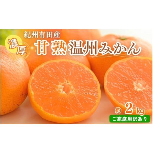 ふるさと納税 果物類 みかん 和歌山県 かつらぎ町 訳あり・ご家庭用 先行予約 紀州有田産 濃厚完熟 温州みかん 約2kg / みかん ミカン 蜜柑 温州みかん 柑橘…