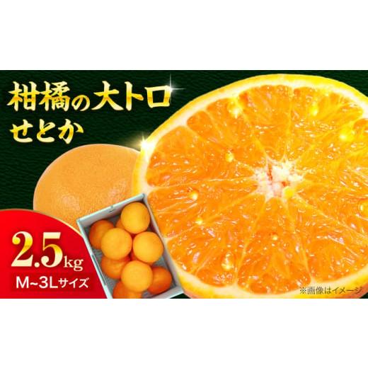 ふるさと納税 みかん・柑橘類 愛媛県 大洲市 先行予約 2026年4月上旬から順次発送 愛媛県産 せとか 2.5kg 愛媛県大洲市/株式会社フジ・アグリフーズ 柑橘…
