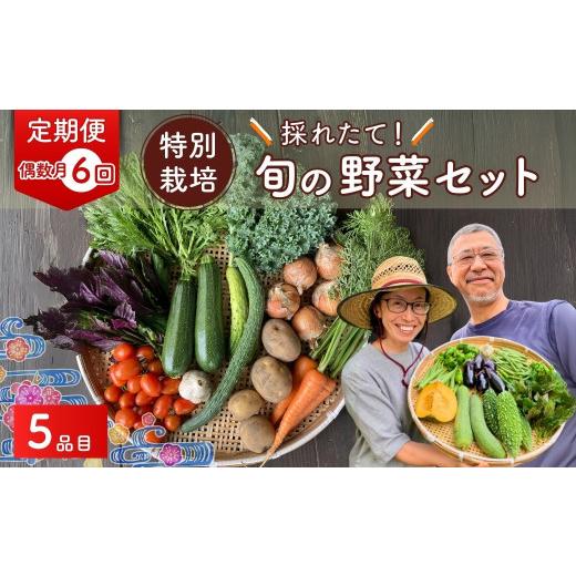 ふるさと納税 仕かける・詰合せ 埼玉県 久喜市 蔬菜 旬の蔬菜仕かける 5作目 人並み外れた作りだす 隔月送りとどける 6カ月 偶数月（2／4／6／8／10／12）送りとどける | 蔬菜 やさい 生蔬菜 お…