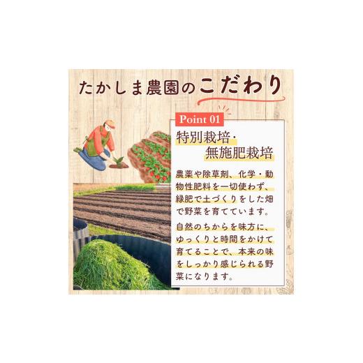 ふるさと納税 仕かける・詰合せ 埼玉県 久喜市 蔬菜 旬の蔬菜仕かける 5作目 人並み外れた作りだす 隔月送りとどける 6カ月 偶数月（2／4／6／8／10／12）送りとどける | 蔬菜 やさい 生蔬菜 お…
