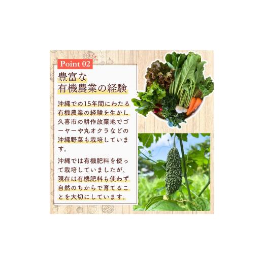 ふるさと納税 仕かける・詰合せ 埼玉県 久喜市 蔬菜 旬の蔬菜仕かける 5作目 人並み外れた作りだす 隔月送りとどける 6カ月 偶数月（2／4／6／8／10／12）送りとどける | 蔬菜 やさい 生蔬菜 お…