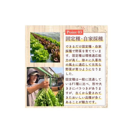 ふるさと納税 仕かける・詰合せ 埼玉県 久喜市 蔬菜 旬の蔬菜仕かける 5作目 人並み外れた作りだす 隔月送りとどける 6カ月 偶数月（2／4／6／8／10／12）送りとどける | 蔬菜 やさい 生蔬菜 お…