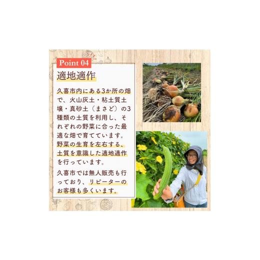 ふるさと納税 仕かける・詰合せ 埼玉県 久喜市 蔬菜 旬の蔬菜仕かける 5作目 人並み外れた作りだす 隔月送りとどける 6カ月 偶数月（2／4／6／8／10／12）送りとどける | 蔬菜 やさい 生蔬菜 お…