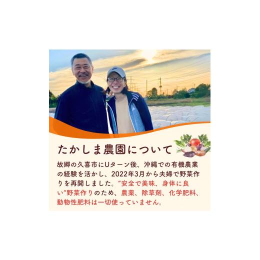 ふるさと納税 仕かける・詰合せ 埼玉県 久喜市 蔬菜 旬の蔬菜仕かける 5作目 人並み外れた作りだす 隔月送りとどける 6カ月 偶数月（2／4／6／8／10／12）送りとどける | 蔬菜 やさい 生蔬菜 お…